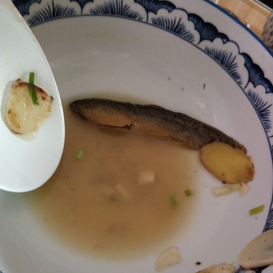 泥鳅炖豆腐（小贴士附杀泥鳅方法）