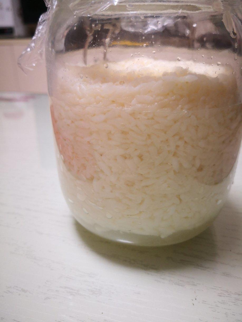 酒酿 (酒酿系列一）