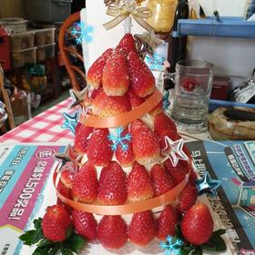 劣狐狐烘焙，圣诞草莓塔 草莓树蛋糕