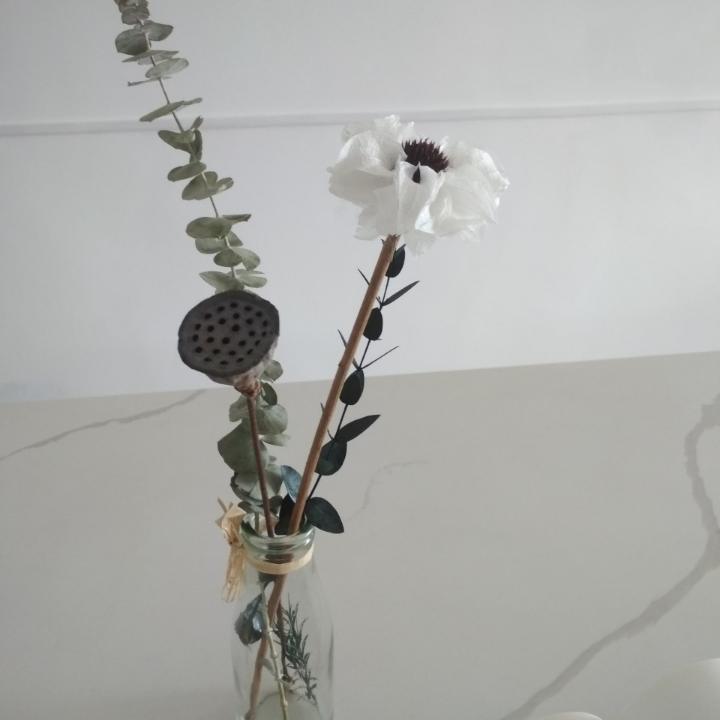 坦克邦邦妈