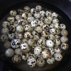 五香鹌鹑蛋的做法 步骤1
