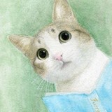 驿