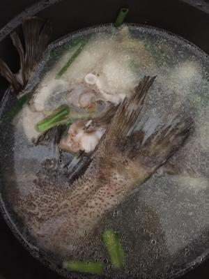清水鱼汤的做法 步骤3