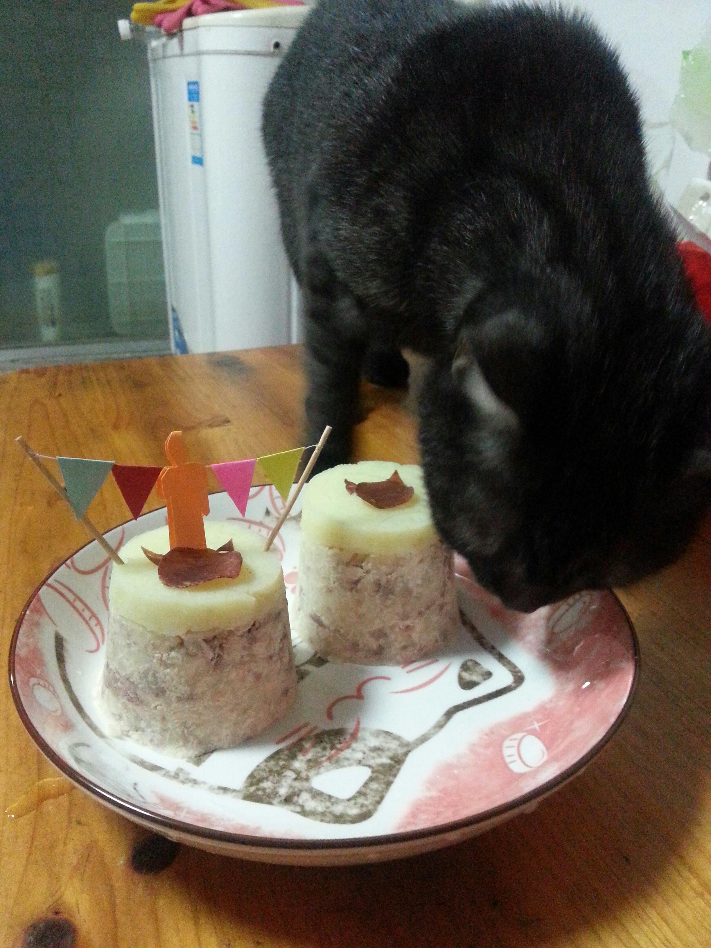 猫咪蛋糕