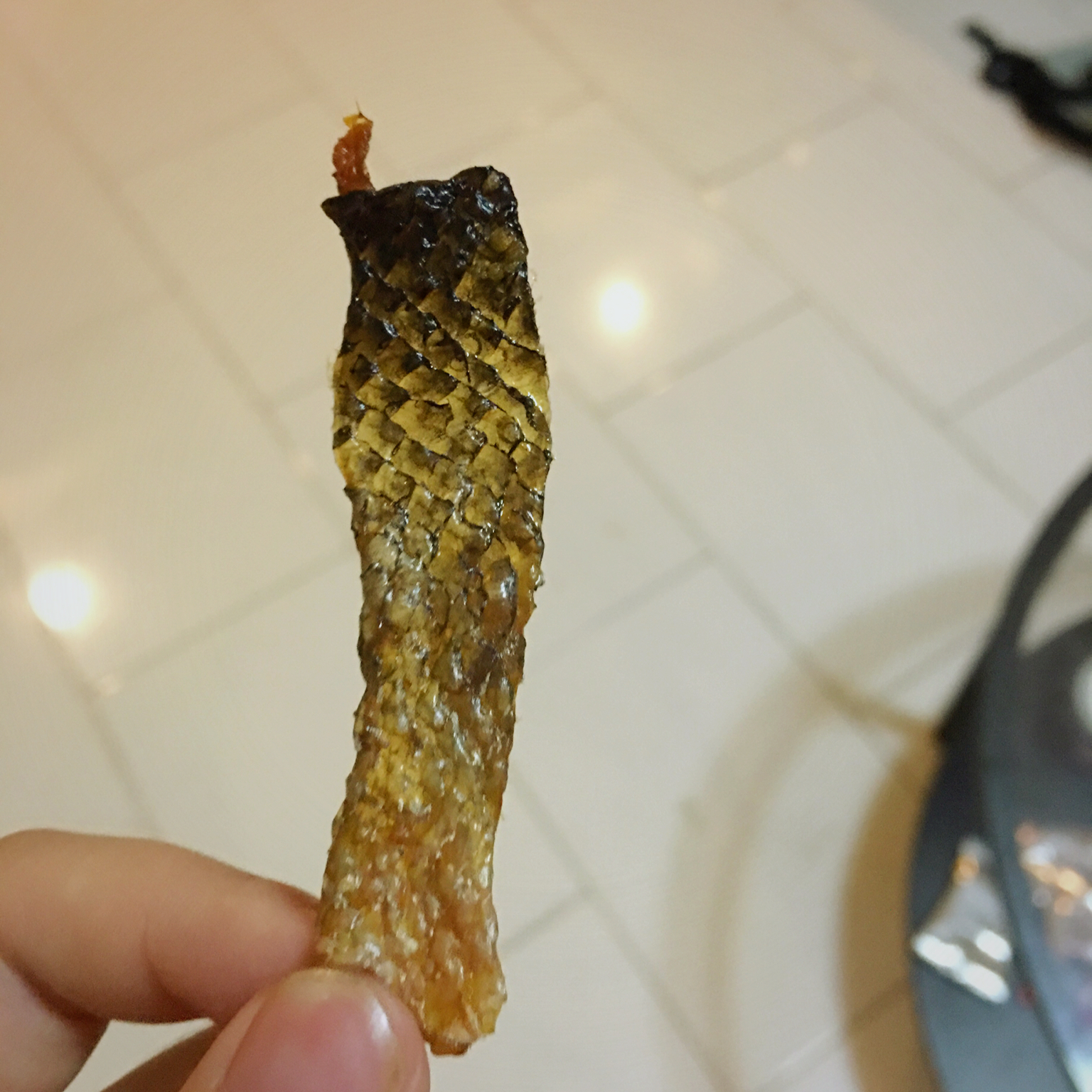 狗狗奖励零食-----烤三文鱼皮