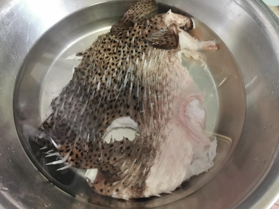 【刺鲍鱼两吃的做法步骤图,刺鲍鱼两吃怎么做好吃】