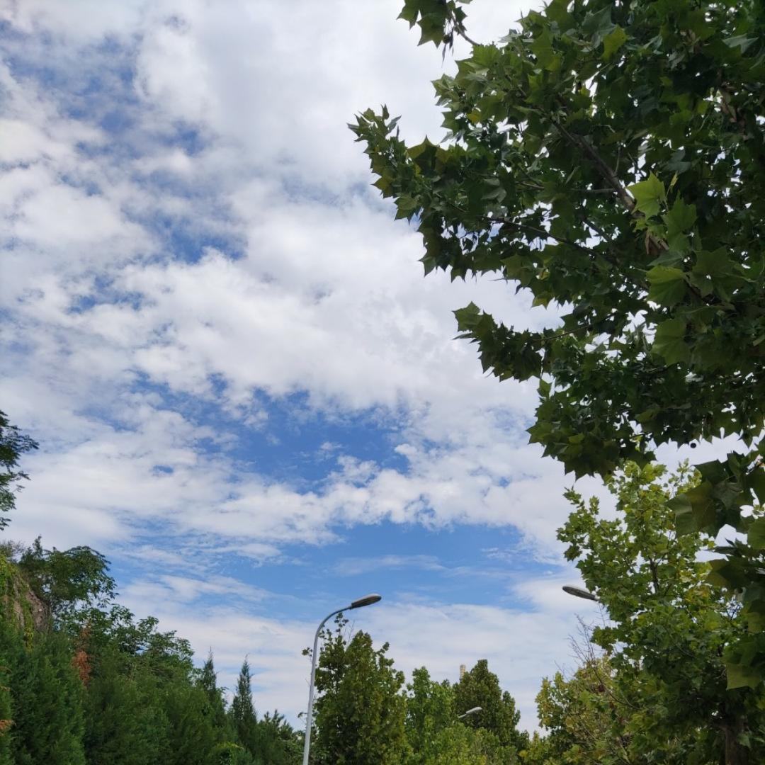 云若水09