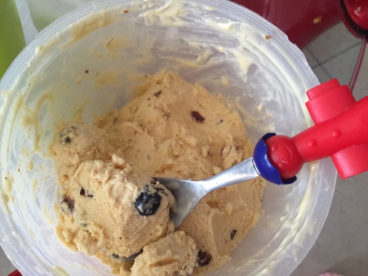 朗姆黑加仑冰淇淋 Rum Raisin Ice cream