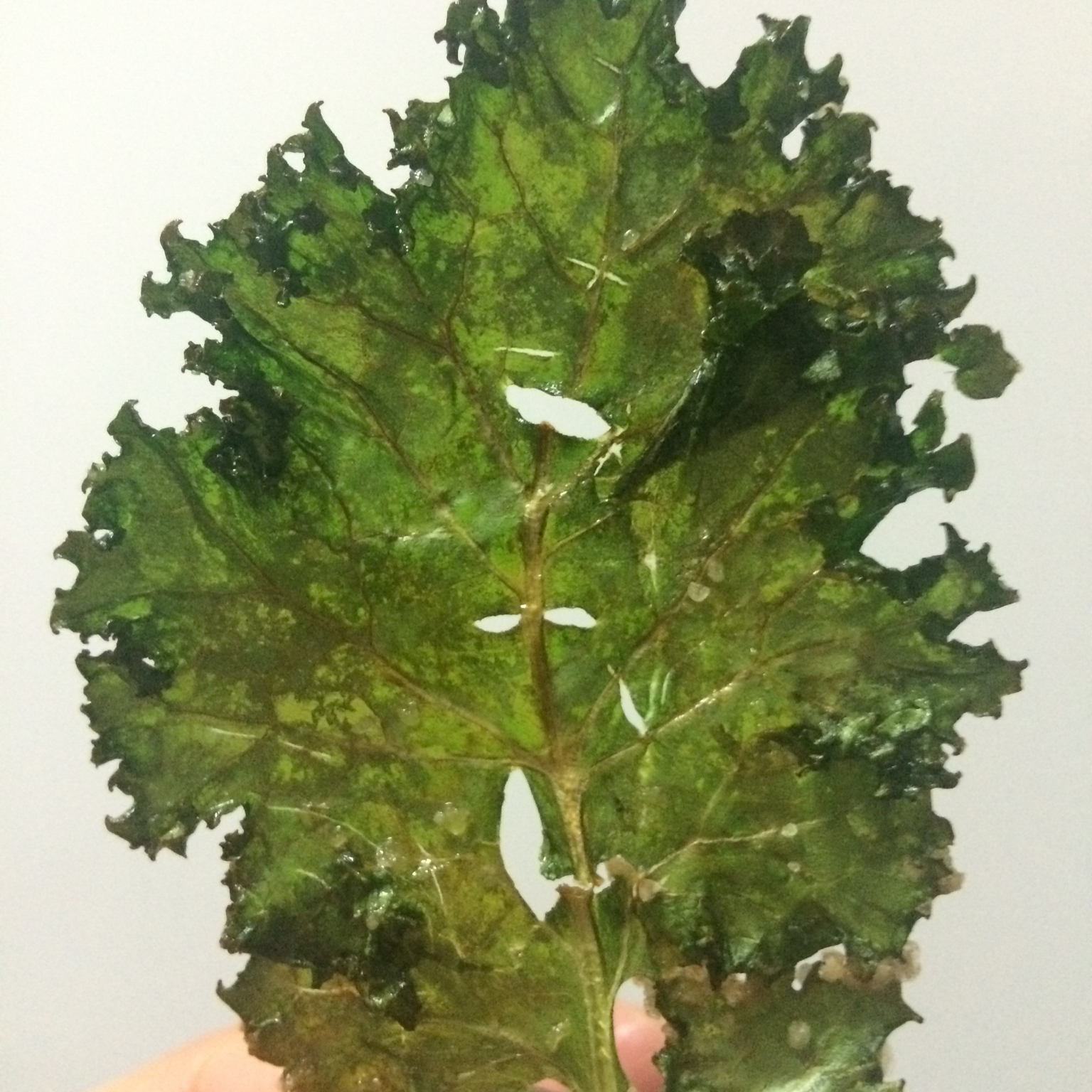 超级零食Kale chips羽衣甘蓝脆片
