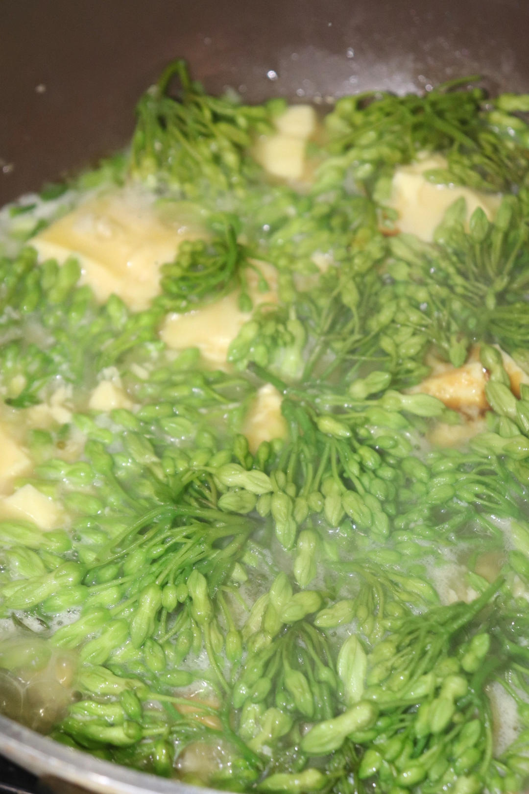 鸡蛋豆腐
