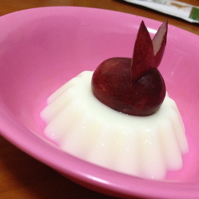 提子小兔