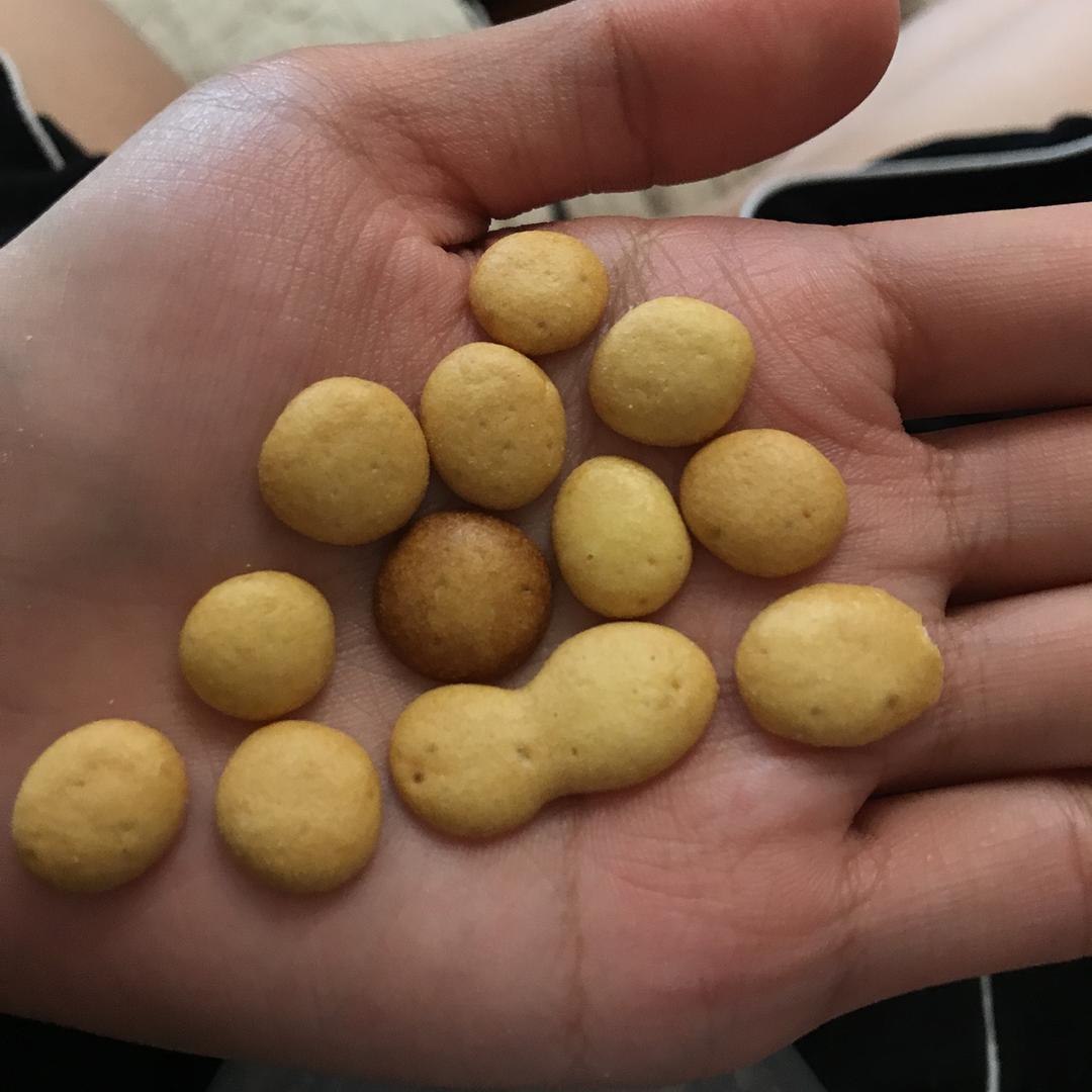 婴儿辅食版蛋奶小饼干（简单快手）