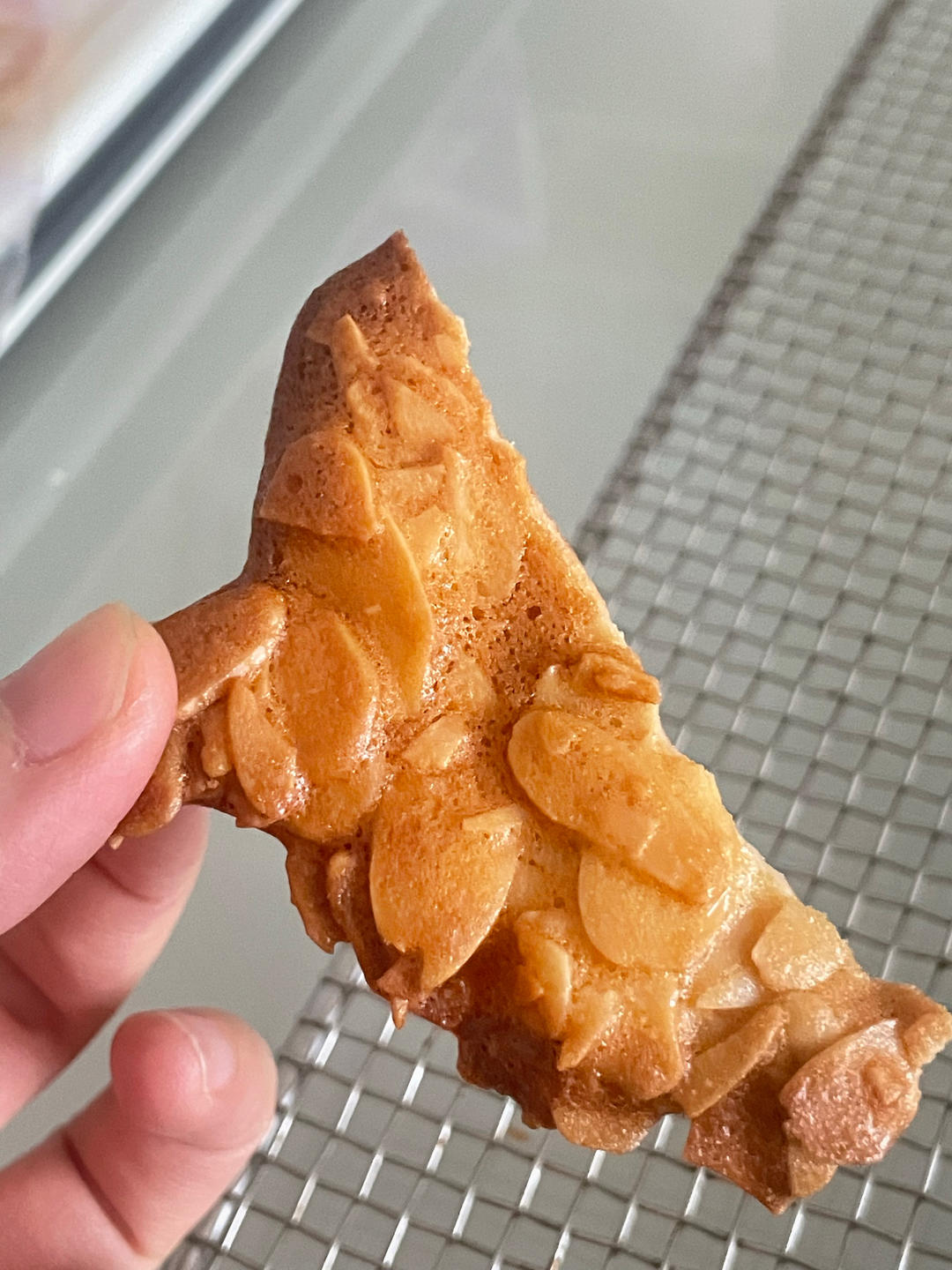 一个烤箱、一双巧手就可以完成嘎嘣脆的《杏仁瓦片》饼干，日常消耗蛋白神奇配方！！