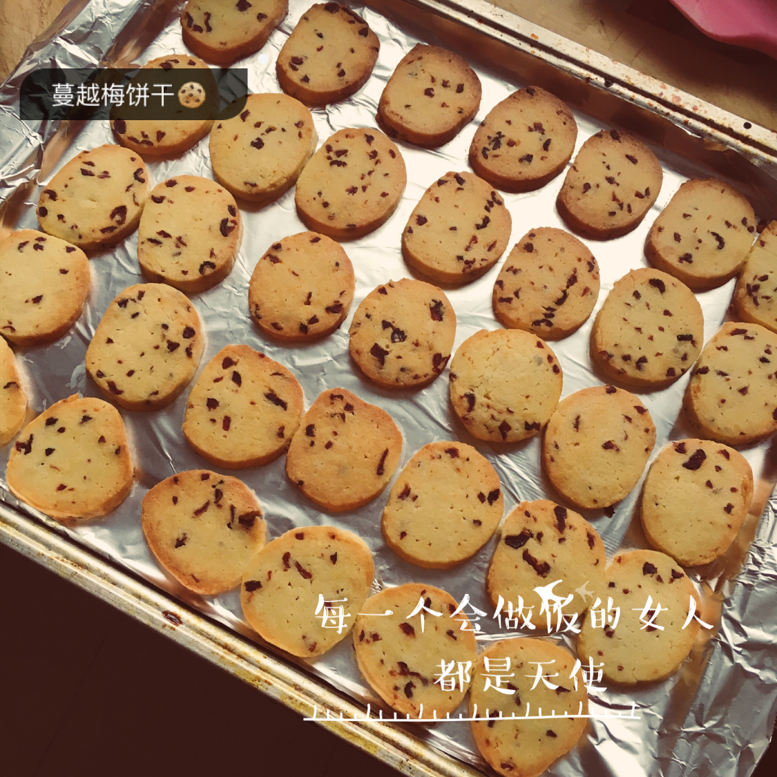 蔓越莓饼干--新手烘焙0压力 #皮黑森林#