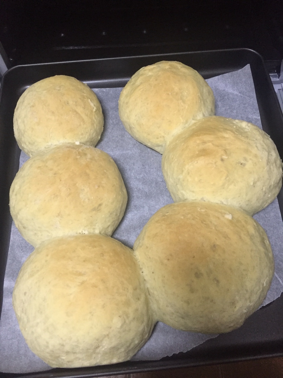 基础面包制作 Basic Bread (Loaf&Roll)