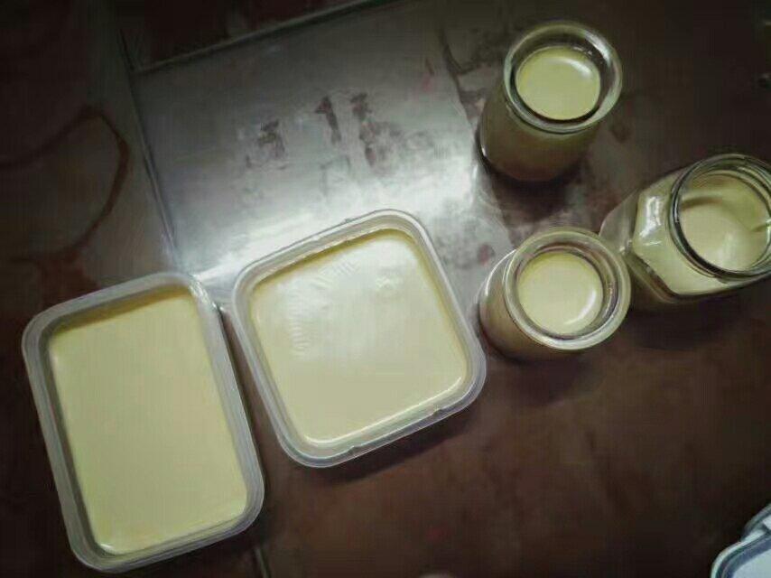 奶茶布丁