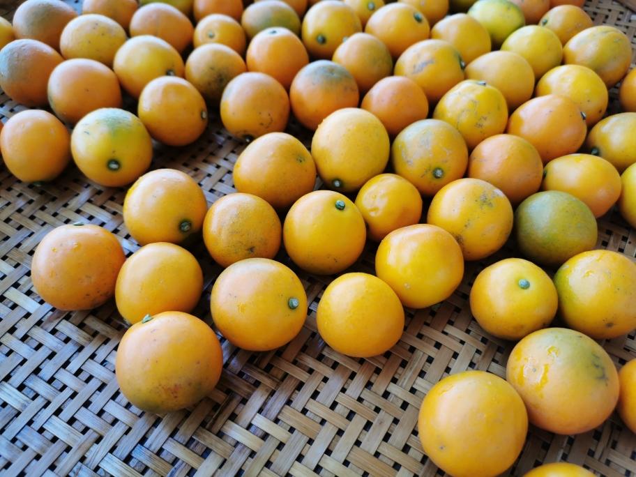 咸柑橘（每年腌制一罐备着吧）