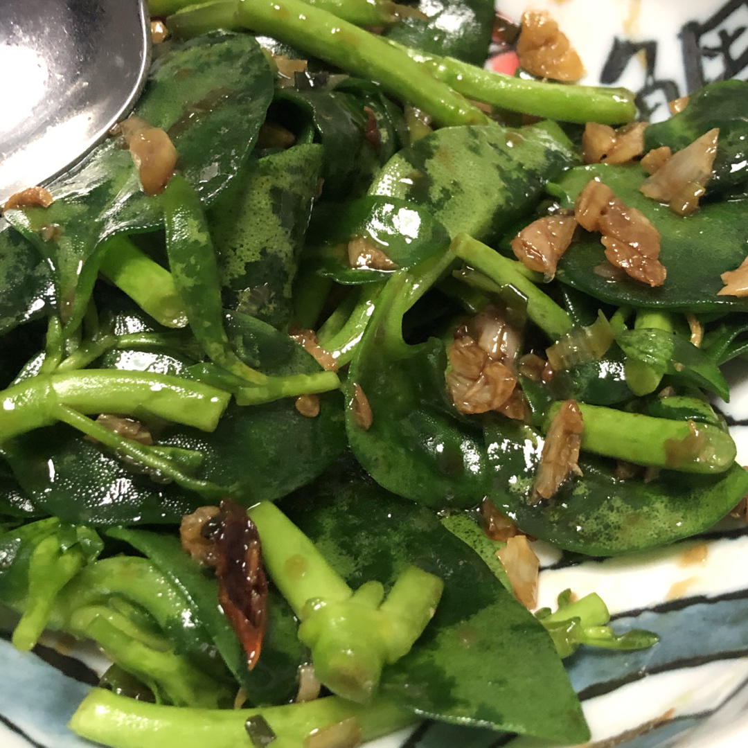 凉拌穿心莲