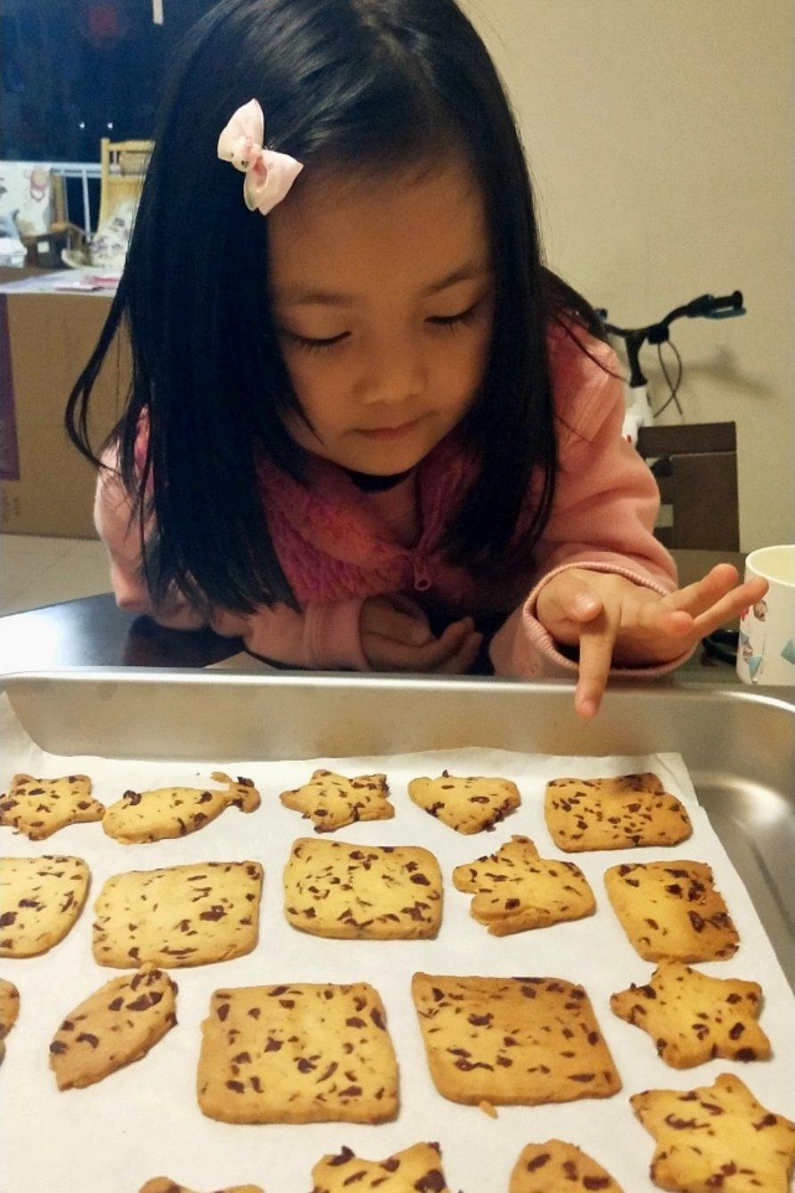 低糖少油版蔓越莓饼干