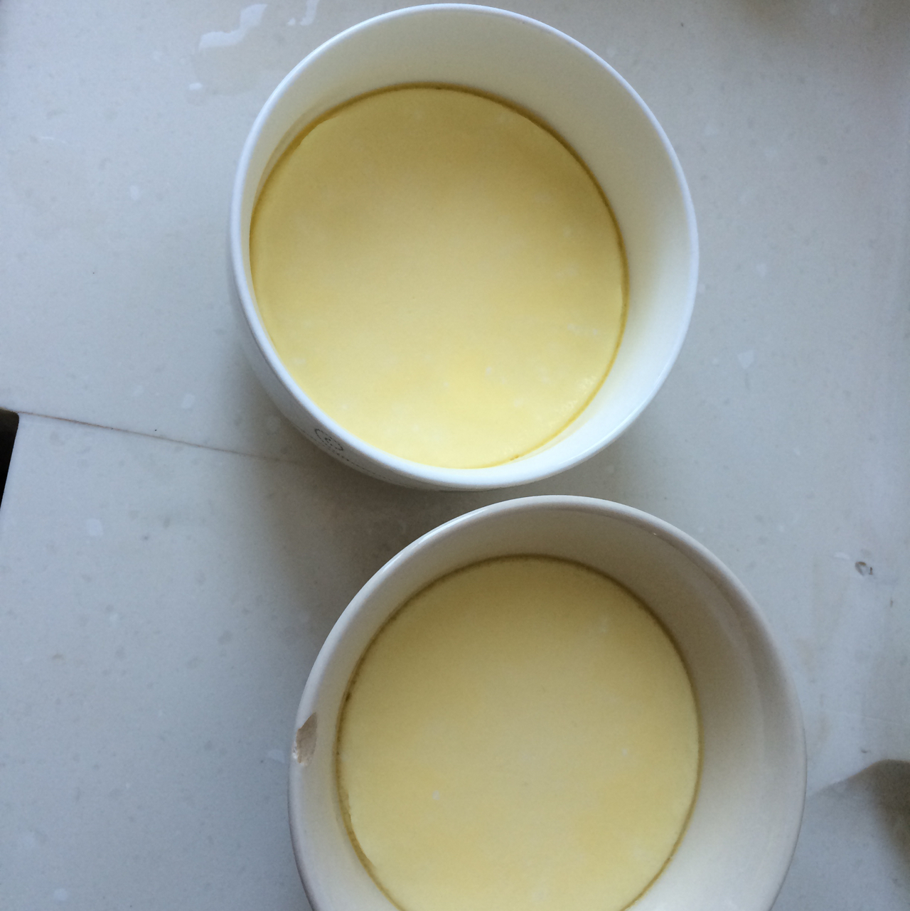 蒸蛋羹 Steamed Egg Pudding