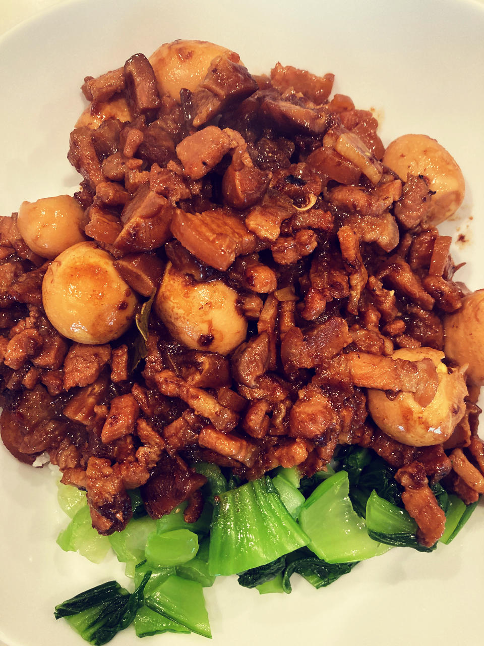 洋葱酥卤肉饭