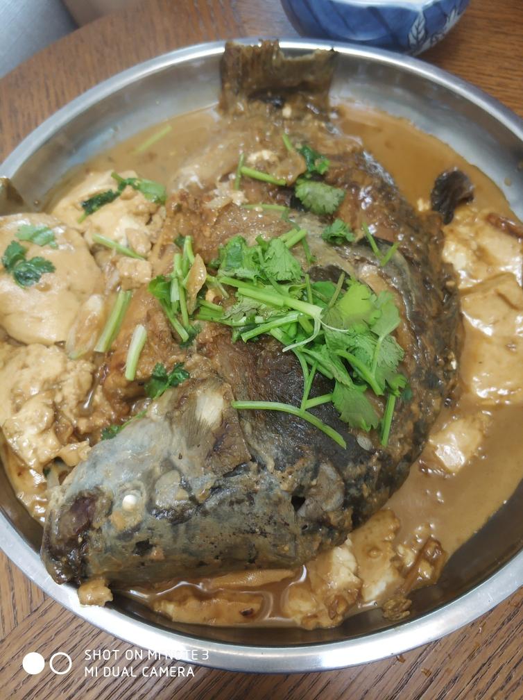 好吃的家常炖鱼，万能炖鱼料，今天三道鳞炖粉条