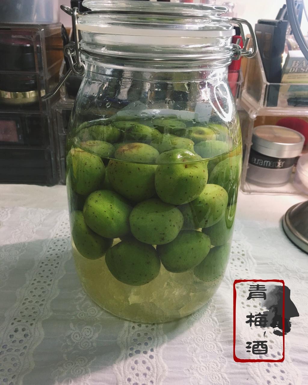 【青梅酒】梅子的沉醉时光（已填坑）