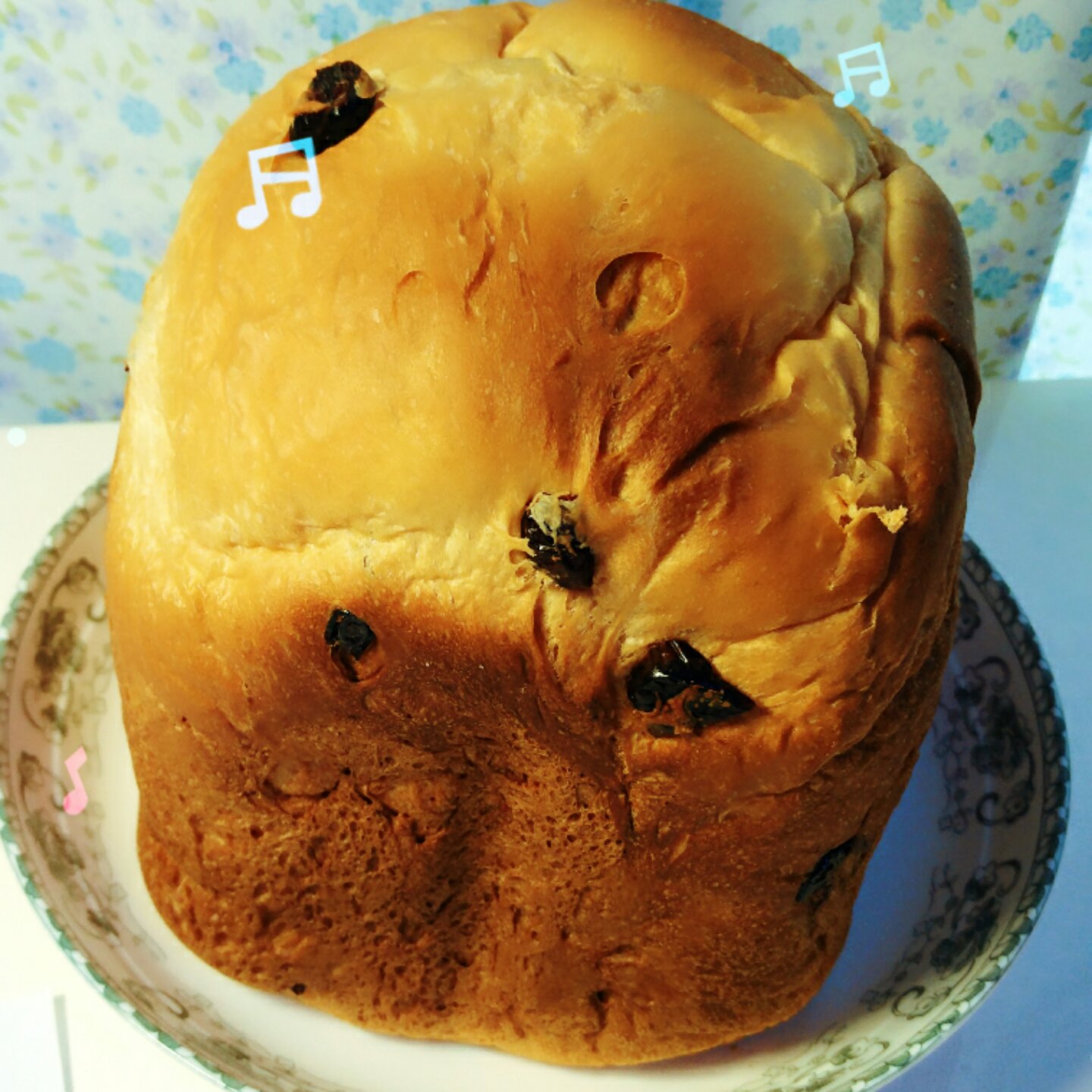 提子土司（柏翠面包机PE6280）自用方子