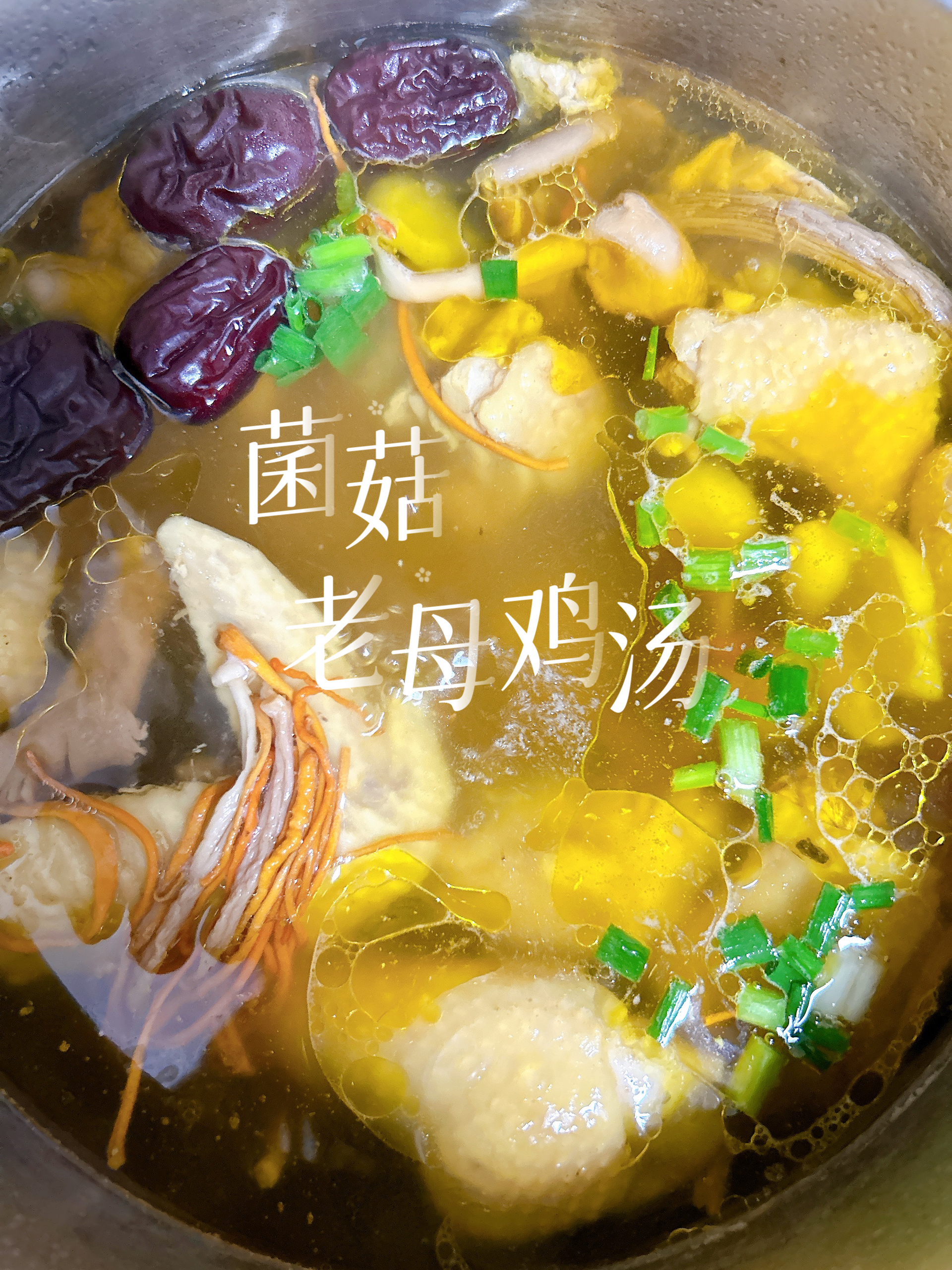 七彩菌菇老母鸡汤的做法
