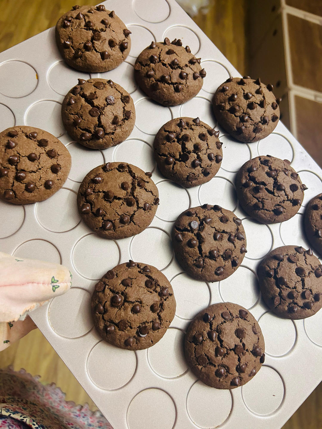 🍪巧克力曲奇｜免打发❗️零失败一次成功❗️