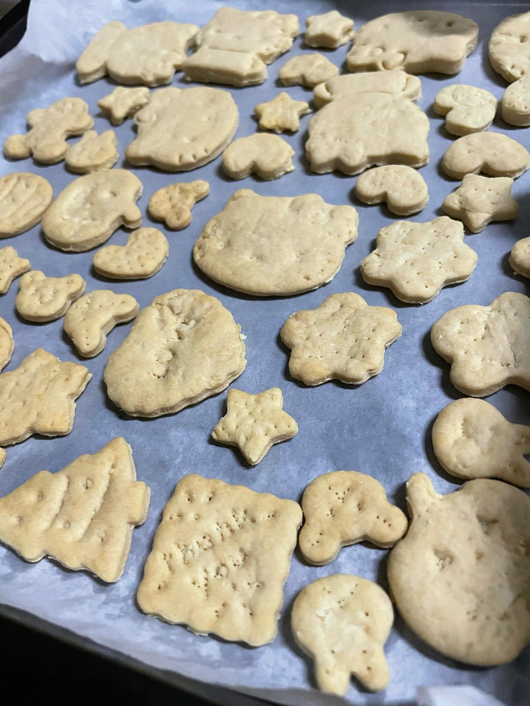 嘎嘣脆——香葱苏打饼干
