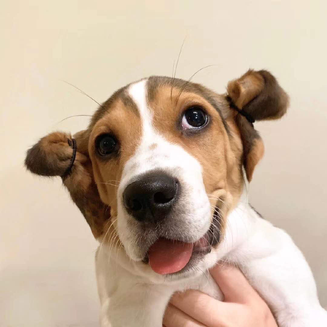 手忙脚乱的小钰