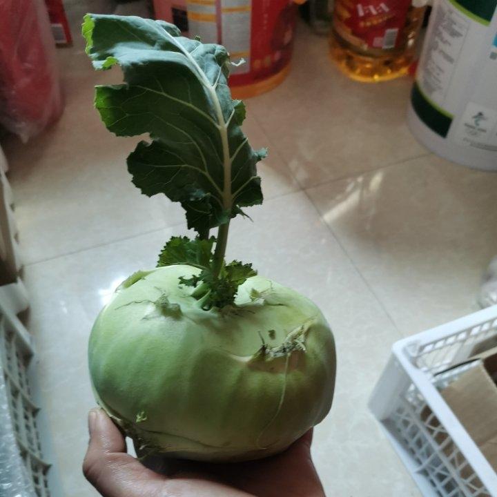 超简单凉拌丕蓝