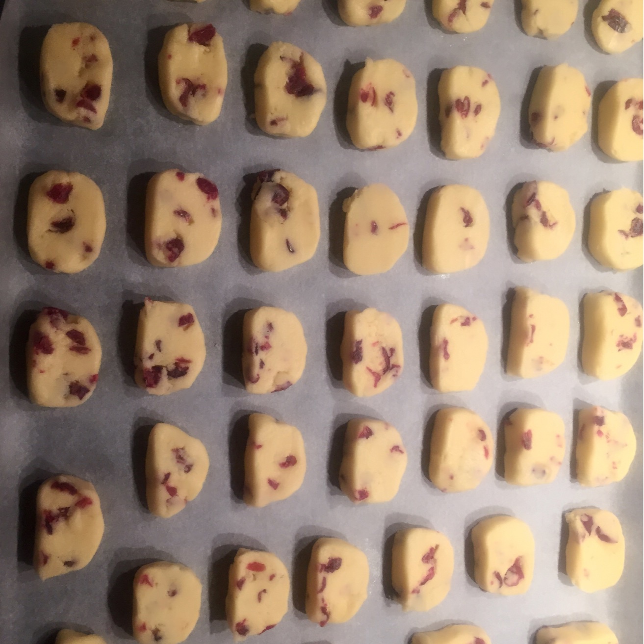 蔓越莓饼干--新手烘焙0压力 #皮黑森林#