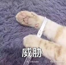 记忆力是个好东西