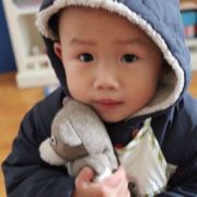 熊熊的安静岁月