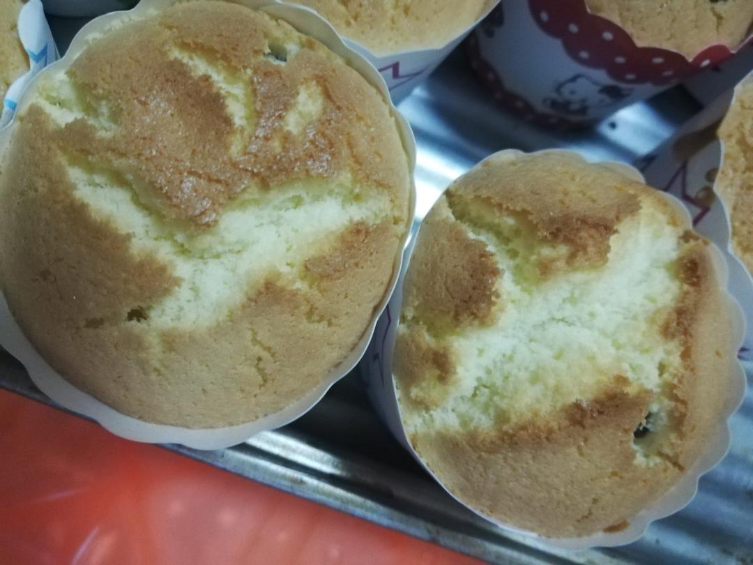 海绵蛋糕(成人高校版)