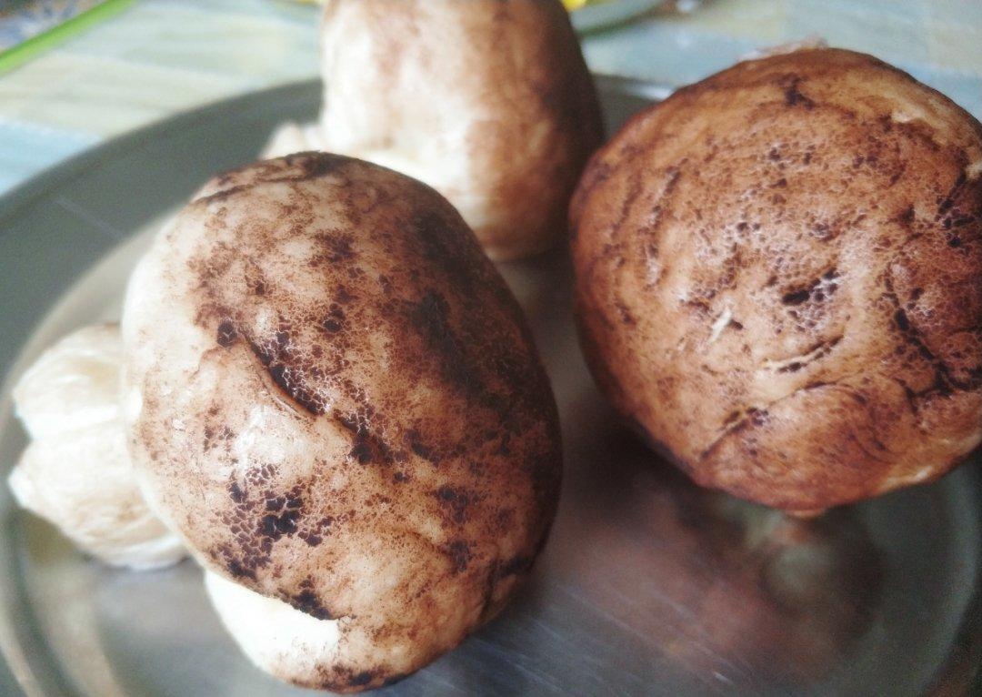 仿真香菇豆沙包