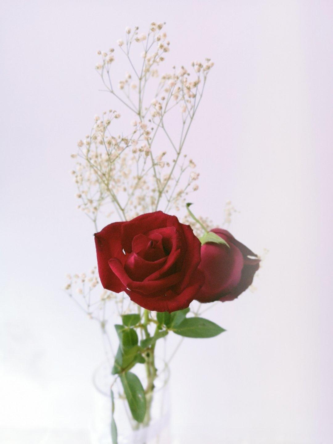 舒芙蕾松饼——快手早餐系列【曼食慢语】