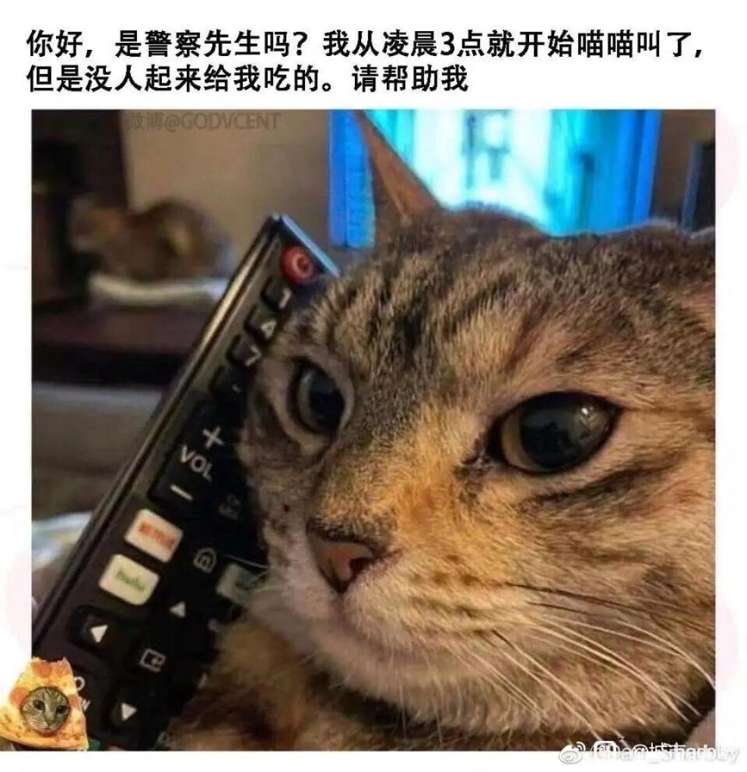 朋友介绍我用的app