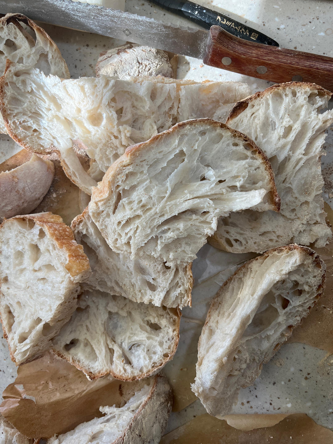 基础欧包练习-室温折叠隔夜冷藏（波兰种）