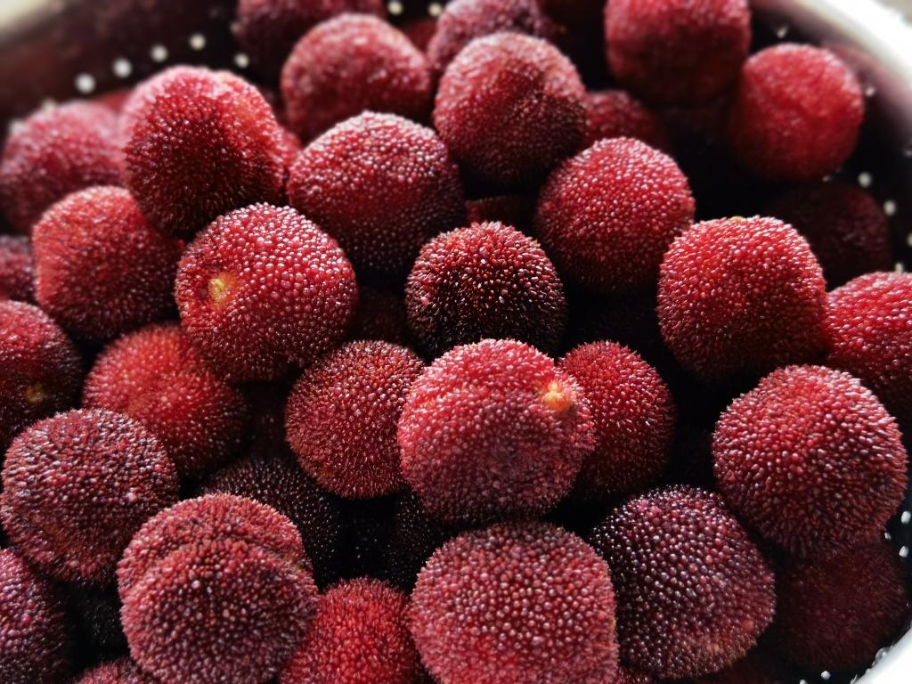 新鲜杨梅吃不完看这里😚😚