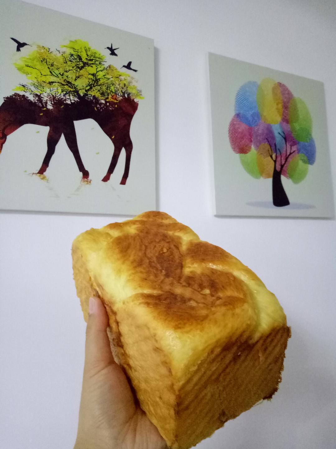 纯奶手撕吐司的做法 步骤1