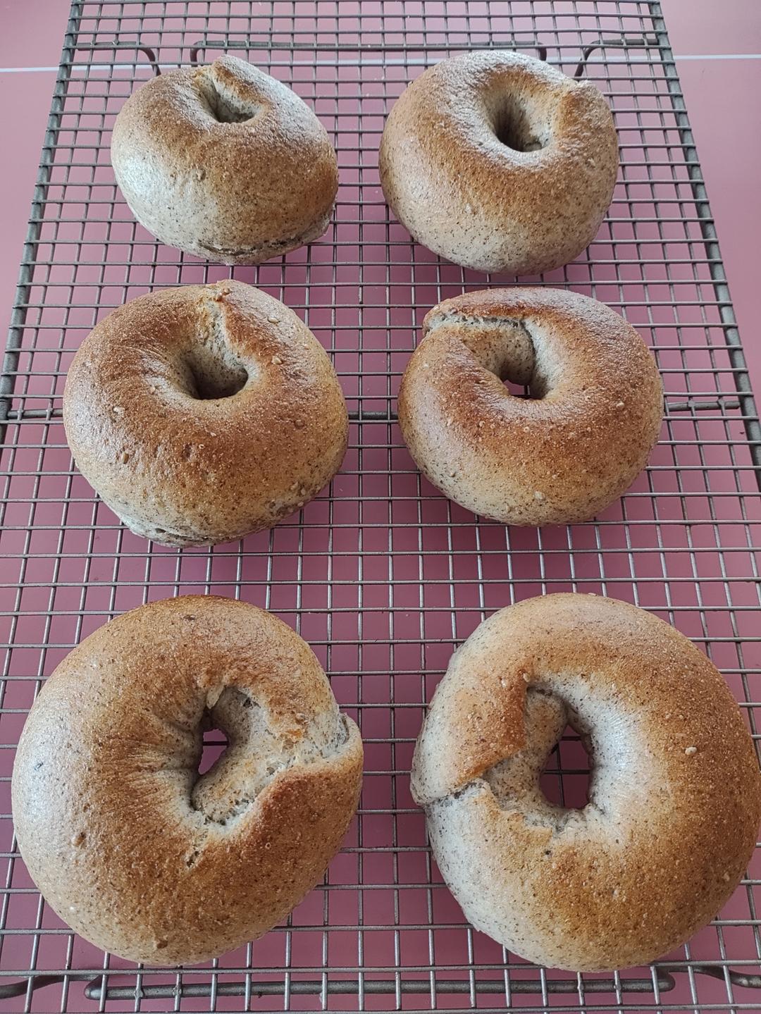 全麦贝果🥯