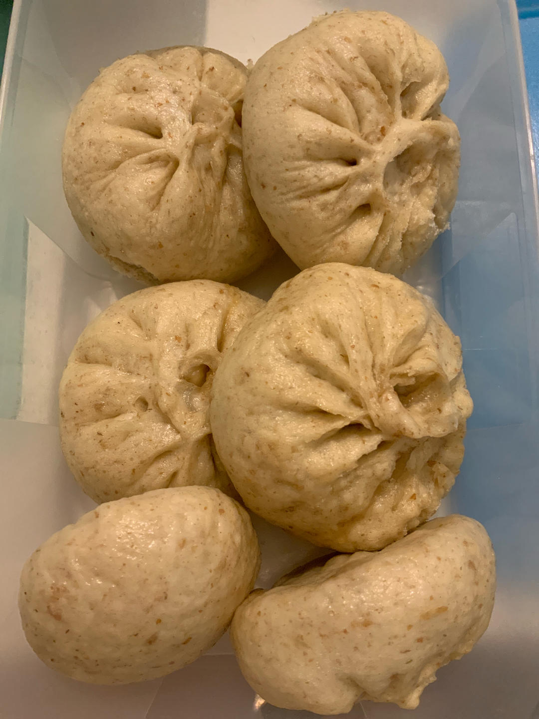 萝卜牛肉包子