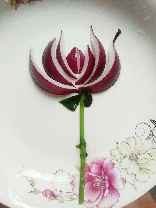 手机用户7379_2snf做的洋葱花