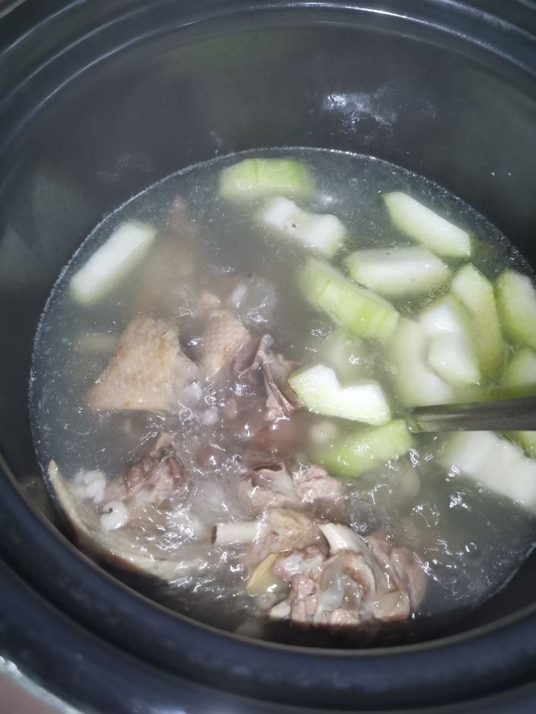 适合夏天喝的汤🤤薏仁冬瓜老鸭汤