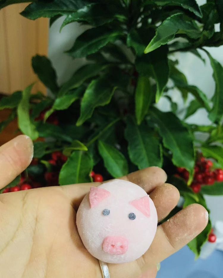 卡通猪猪🐷汤圆