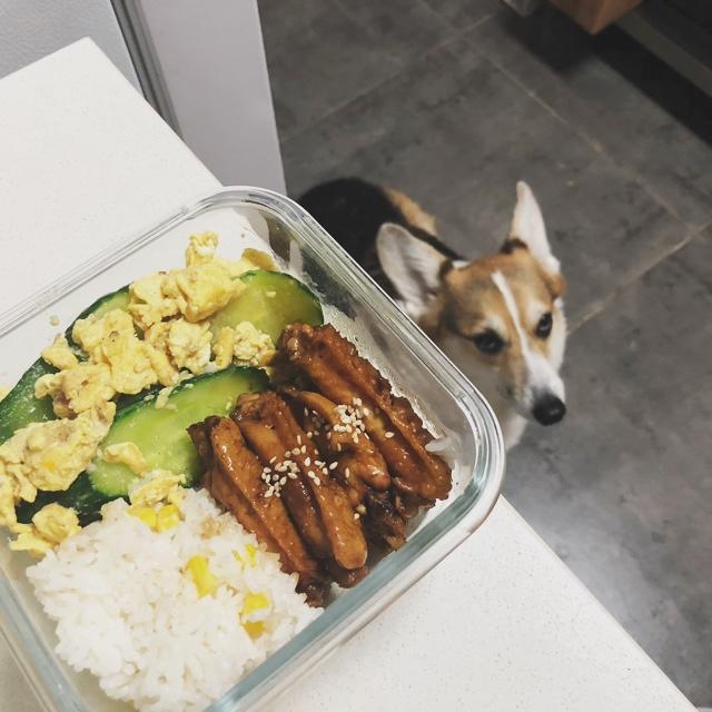 OAの便当