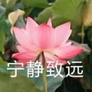 極i